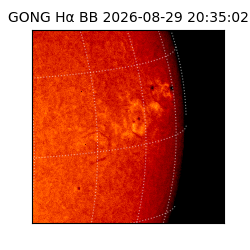 gong - 2026-08-29T20:35:02