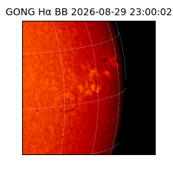 gong - 2026-08-29T23:00:02