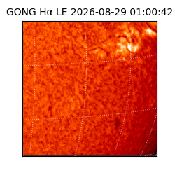 gong - 2026-08-29T01:00:42