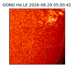gong - 2026-08-29T05:00:42