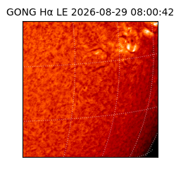 gong - 2026-08-29T08:00:42