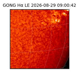 gong - 2026-08-29T09:00:42