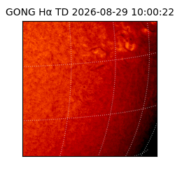 gong - 2026-08-29T10:00:22