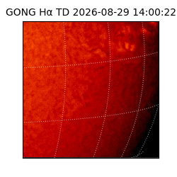 gong - 2026-08-29T14:00:22