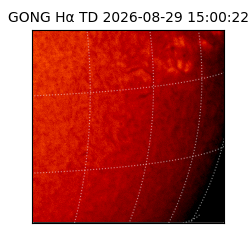 gong - 2026-08-29T15:00:22