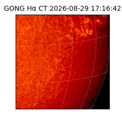 gong - 2026-08-29T17:16:42