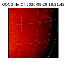gong - 2026-08-29T18:21:42