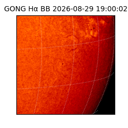 gong - 2026-08-29T19:00:02