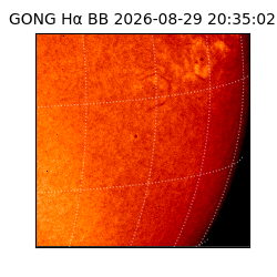 gong - 2026-08-29T20:35:02