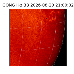 gong - 2026-08-29T21:00:02