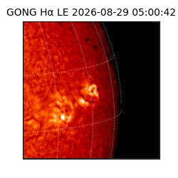 gong - 2026-08-29T05:00:42