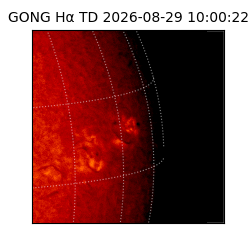 gong - 2026-08-29T10:00:22
