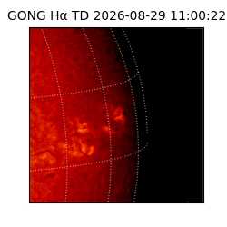 gong - 2026-08-29T11:00:22