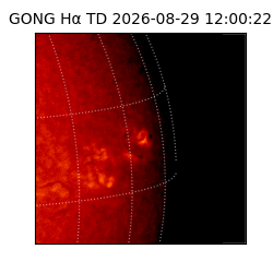 gong - 2026-08-29T12:00:22