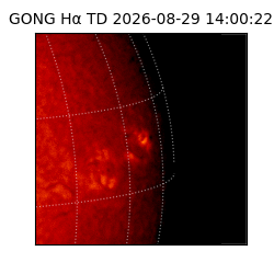 gong - 2026-08-29T14:00:22