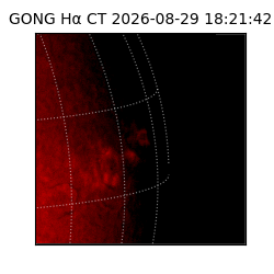 gong - 2026-08-29T18:21:42