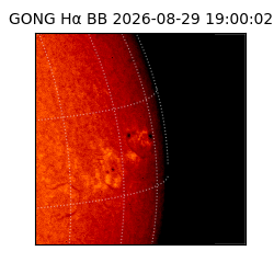 gong - 2026-08-29T19:00:02