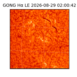 gong - 2026-08-29T02:00:42