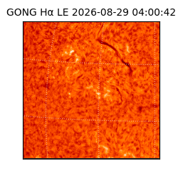 gong - 2026-08-29T04:00:42