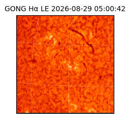 gong - 2026-08-29T05:00:42