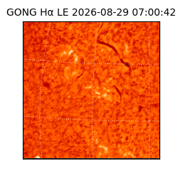 gong - 2026-08-29T07:00:42