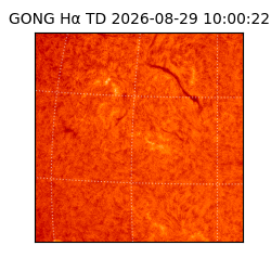 gong - 2026-08-29T10:00:22