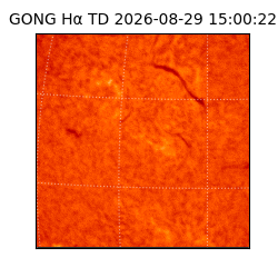 gong - 2026-08-29T15:00:22