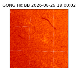 gong - 2026-08-29T19:00:02
