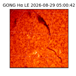 gong - 2026-08-29T05:00:42
