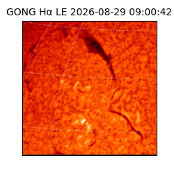 gong - 2026-08-29T09:00:42