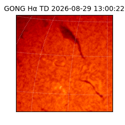 gong - 2026-08-29T13:00:22