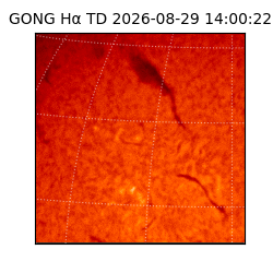 gong - 2026-08-29T14:00:22