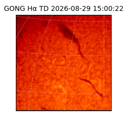 gong - 2026-08-29T15:00:22