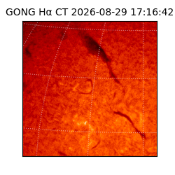 gong - 2026-08-29T17:16:42