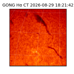 gong - 2026-08-29T18:21:42