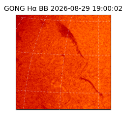 gong - 2026-08-29T19:00:02