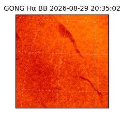 gong - 2026-08-29T20:35:02