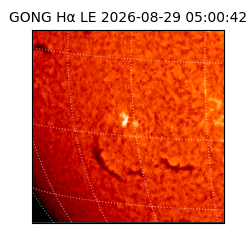 gong - 2026-08-29T05:00:42