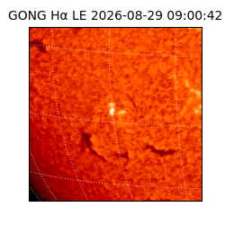 gong - 2026-08-29T09:00:42