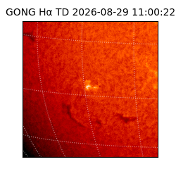 gong - 2026-08-29T11:00:22
