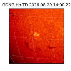 gong - 2026-08-29T14:00:22