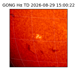 gong - 2026-08-29T15:00:22