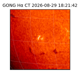 gong - 2026-08-29T18:21:42