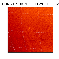 gong - 2026-08-29T21:00:02