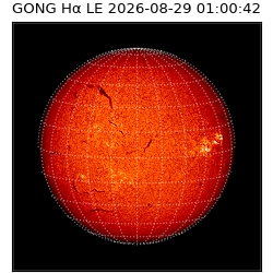 gong - 2026-08-29T01:00:42