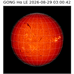 gong - 2026-08-29T03:00:42