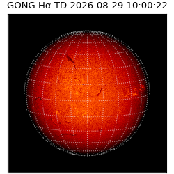 gong - 2026-08-29T10:00:22