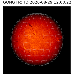 gong - 2026-08-29T12:00:22