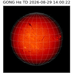 gong - 2026-08-29T14:00:22