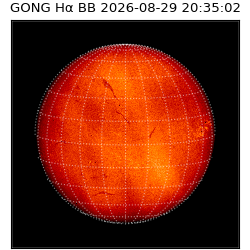 gong - 2026-08-29T20:35:02